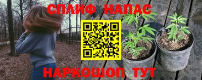 spice Кулебаки